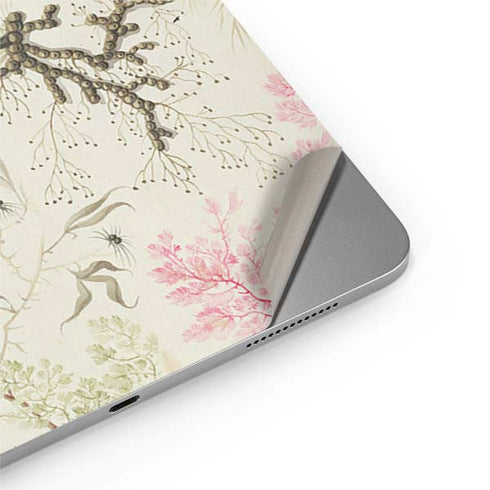 Seaweed on Silk Paper by William Kilburn Apple iPad Air Skin