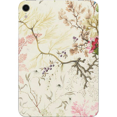 Seaweed on Silk Paper by William Kilburn Apple iPad Mini Skin