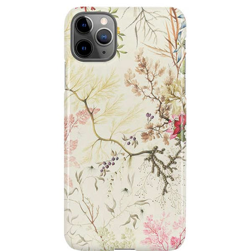 Seaweed on Silk Paper by William Kilburn iPhone Cases