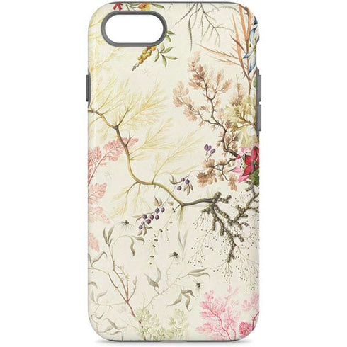 Seaweed on Silk Paper by William Kilburn iPhone Cases