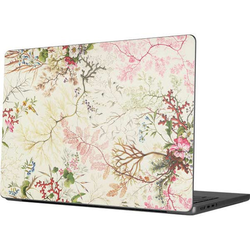 Seaweed on Silk Paper by William Kilburn Apple MacBook Pro 14-inch Skin