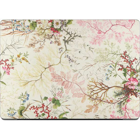 Seaweed on Silk Paper by William Kilburn Apple MacBook Pro 14-inch Skin
