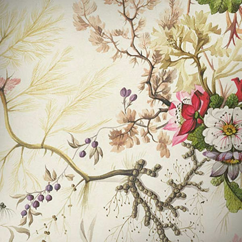 Seaweed on Silk Paper by William Kilburn Moto G6 Skin