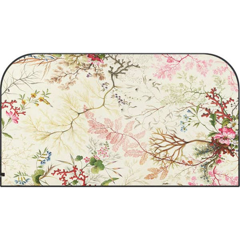 Seaweed on Silk Paper by William Kilburn Nintendo Switch 2 (2025) with Joy-Con Skin