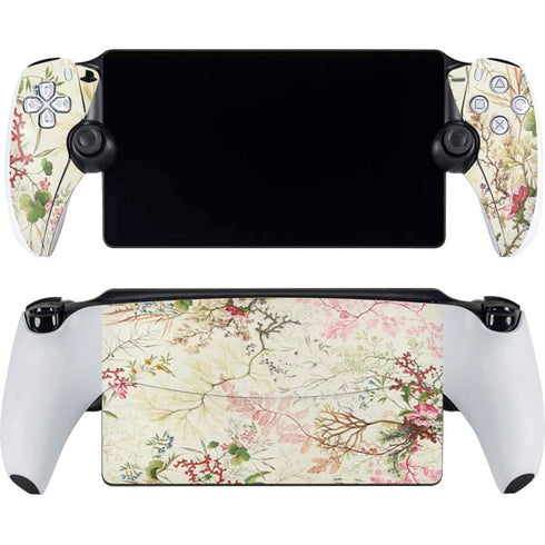 Seaweed on Silk Paper by William Kilburn PlayStation PS5 Skins