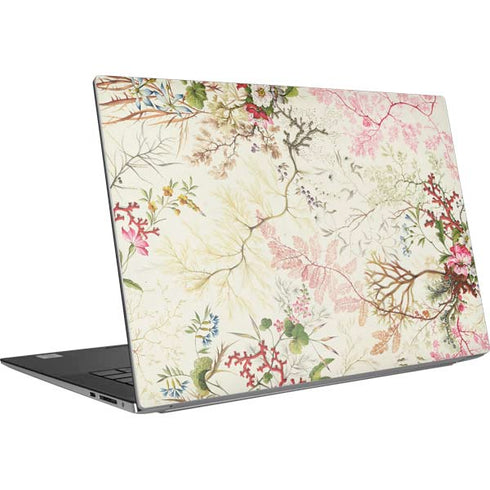 Seaweed on Silk Paper by William Kilburn Dell XPS Skin