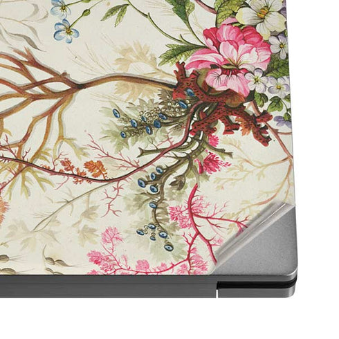 Seaweed on Silk Paper by William Kilburn Dell XPS Skin