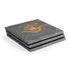Grey Serenity PlayStation PS4 Skins