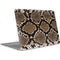 Serpent Apple MacBook Air Skin