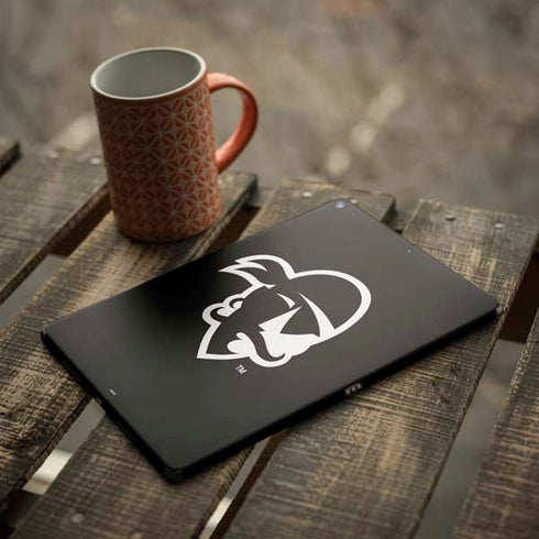 Seton Hall University Zoomed Basketball iPad Skins