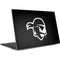 Seton Hall University Zoomed Basketball Dell XPS Skin