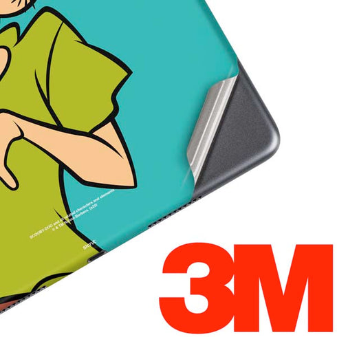 Scooby Doo Shaggy iPad Skins