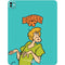 Scooby Doo Shaggy iPad Pro 13in M4 (2024) Skin