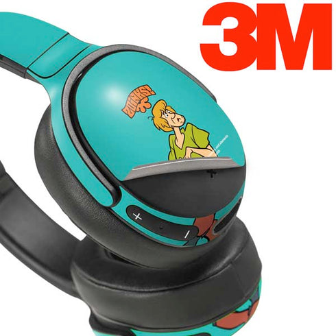 Scooby Doo Shaggy Skullcandy Venue Skin