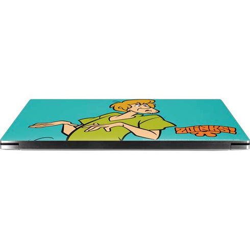 Scooby Doo Shaggy Dell XPS Skin