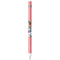 Disney She Rox My World Apple Pencil (1st Gen, 2017) Skin