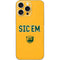 Baylor University Sic Em iPhone 16 Pro Max Skin