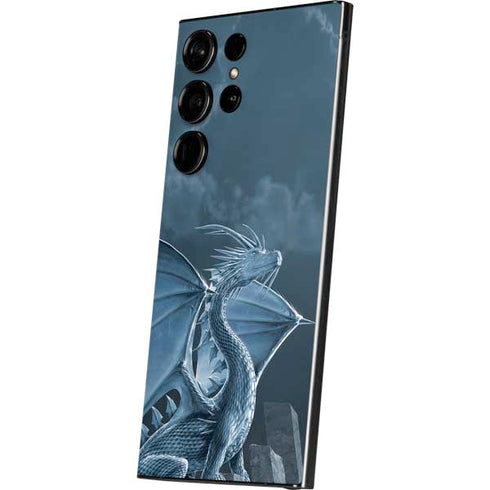 Silver Dragon by Vincent Hie Galaxy S25 Ultra Skin