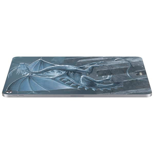 Silver Dragon by Vincent Hie Apple iPad Air Skin