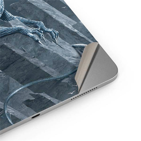 Silver Dragon by Vincent Hie Apple iPad Air Skin