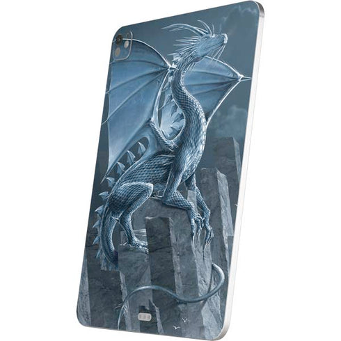 Silver Dragon by Vincent Hie iPad Pro 13in M4 (2024) Skin