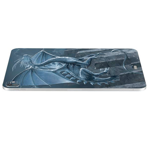 Silver Dragon by Vincent Hie iPad Pro 13in M4 (2024) Skin