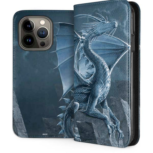 Silver Dragon by Vincent Hie iPhone 15 Pro Folio Case