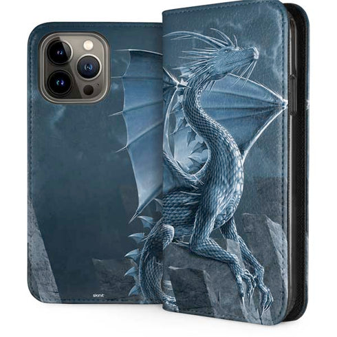 Silver Dragon by Vincent Hie iPhone Cases