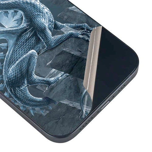 Silver Dragon by Vincent Hie iPhone 15 Skin