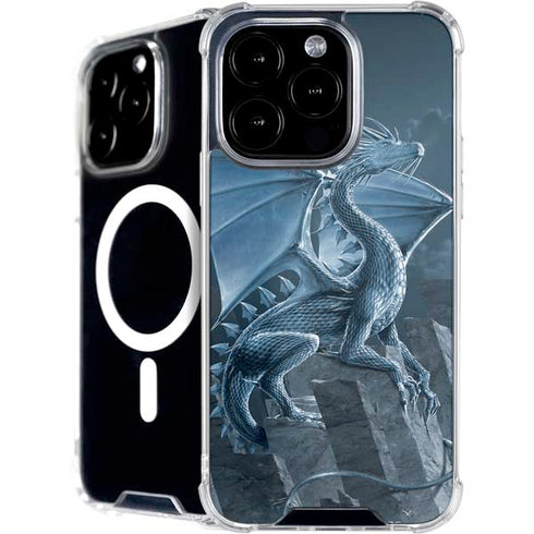 Silver Dragon by Vincent Hie iPhone 16 Pro Max MagSafe Case