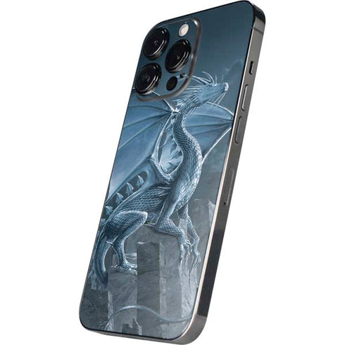 Silver Dragon by Vincent Hie iPhone 16 Pro Max Skin
