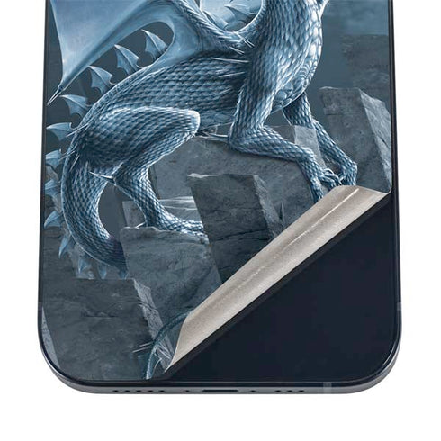 Silver Dragon by Vincent Hie iPhone 16 Skin