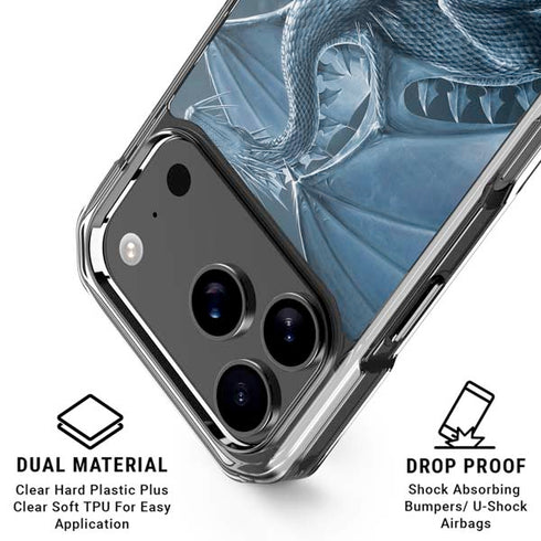 Silver Dragon by Vincent Hie iPhone 18 Pro Clear Case