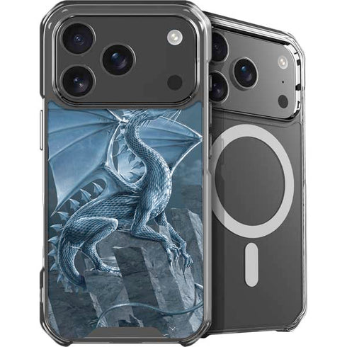 Silver Dragon by Vincent Hie iPhone 18 Pro MagSafe Case