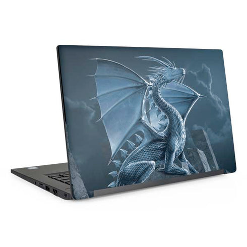 Silver Dragon by Vincent Hie Dell Latitude Skin