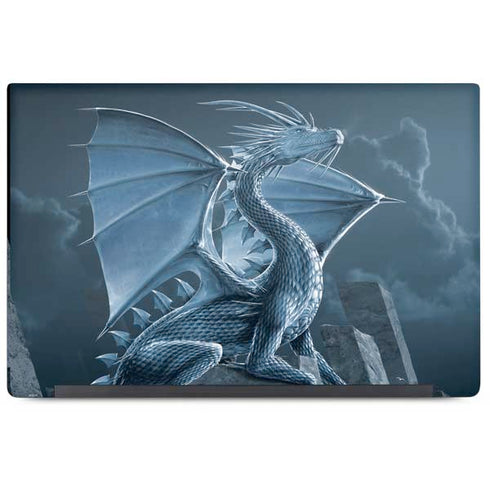 Silver Dragon by Vincent Hie Dell Latitude Skin