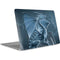 Silver Dragon by Vincent Hie Apple MacBook Air Skin