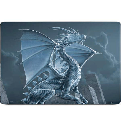 Silver Dragon by Vincent Hie MacBook Skins