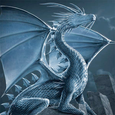 Silver Dragon by Vincent Hie MacBook Skins