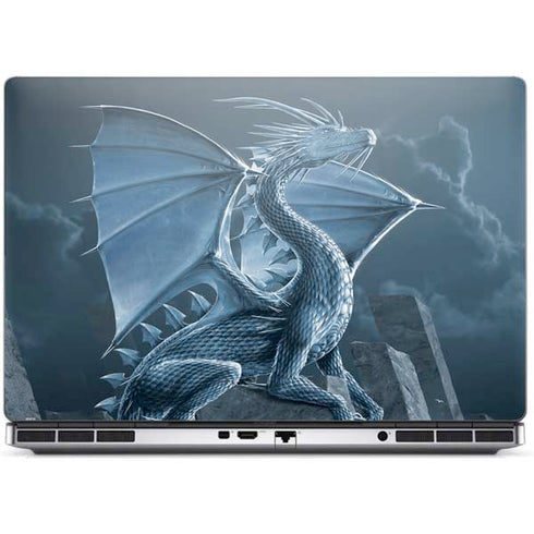 Silver Dragon by Vincent Hie Dell Precision Skin