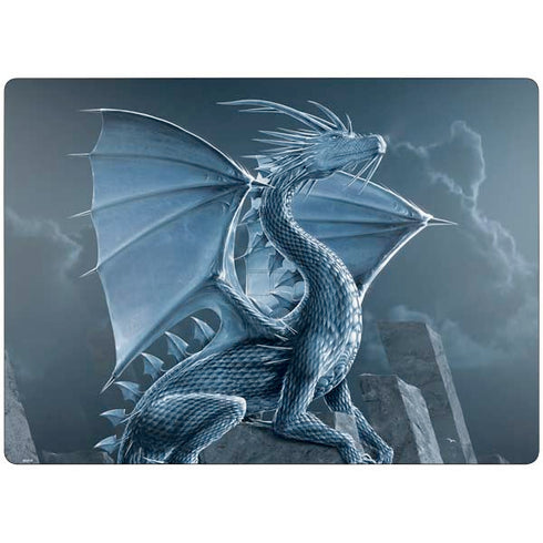 Silver Dragon by Vincent Hie Surface Laptop 7 15in Skin