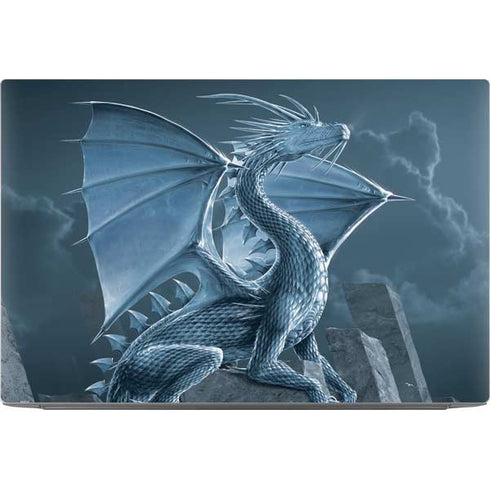 Silver Dragon by Vincent Hie Dell XPS Skin