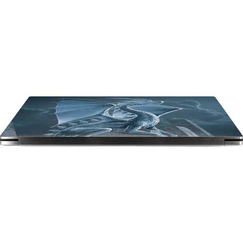Silver Dragon by Vincent Hie Dell XPS Skin