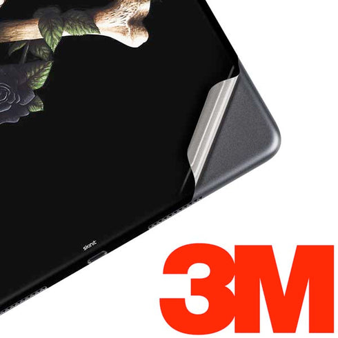 Alchemy Skull and Crossbones iPad Skins