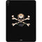 Alchemy Skull and Crossbones Apple iPad Air Skin