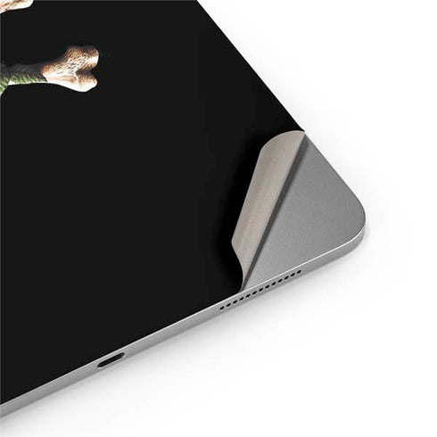 Alchemy Skull and Crossbones Apple iPad Air Skin