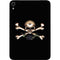 Alchemy Skull and Crossbones Apple iPad Mini Skin