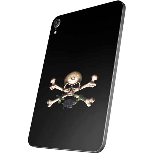 Alchemy Skull and Crossbones Apple iPad Mini Skin