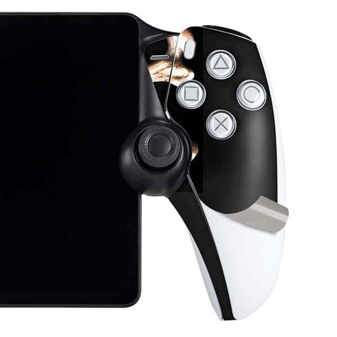 Alchemy Skull and Crossbones PlayStation Portal Remote Player Skin