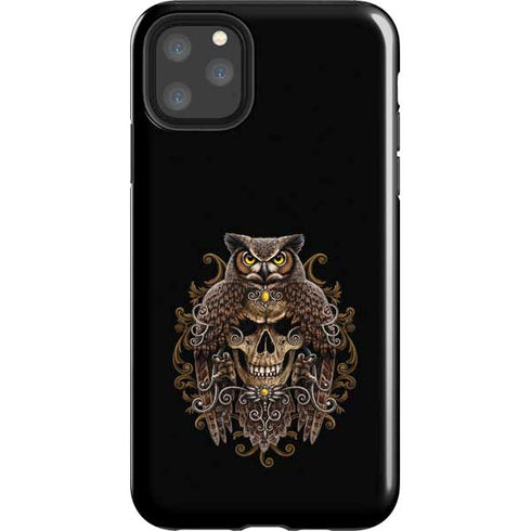 Skull and Owl by Sarah Richter iPhone Cases
